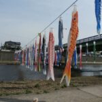 加茂川の鯉のぼり